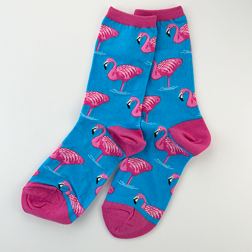 Flamingos