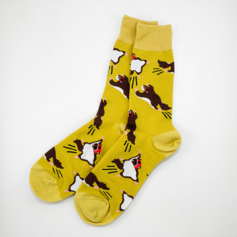Flying Squirrels